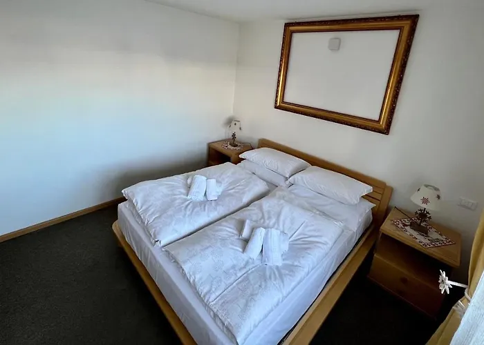 Nicolussi 住宿加早餐酒店 3*